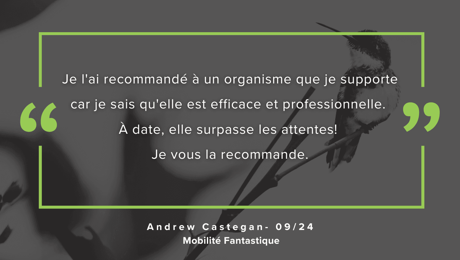Recommandation CBlaisWeb